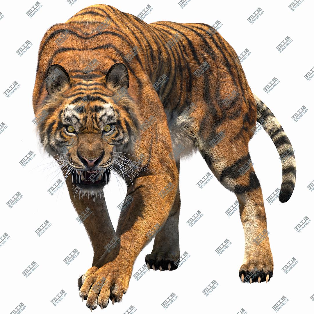 images/goods_img/2021040232/Tiger Fur 3D model/1.jpg